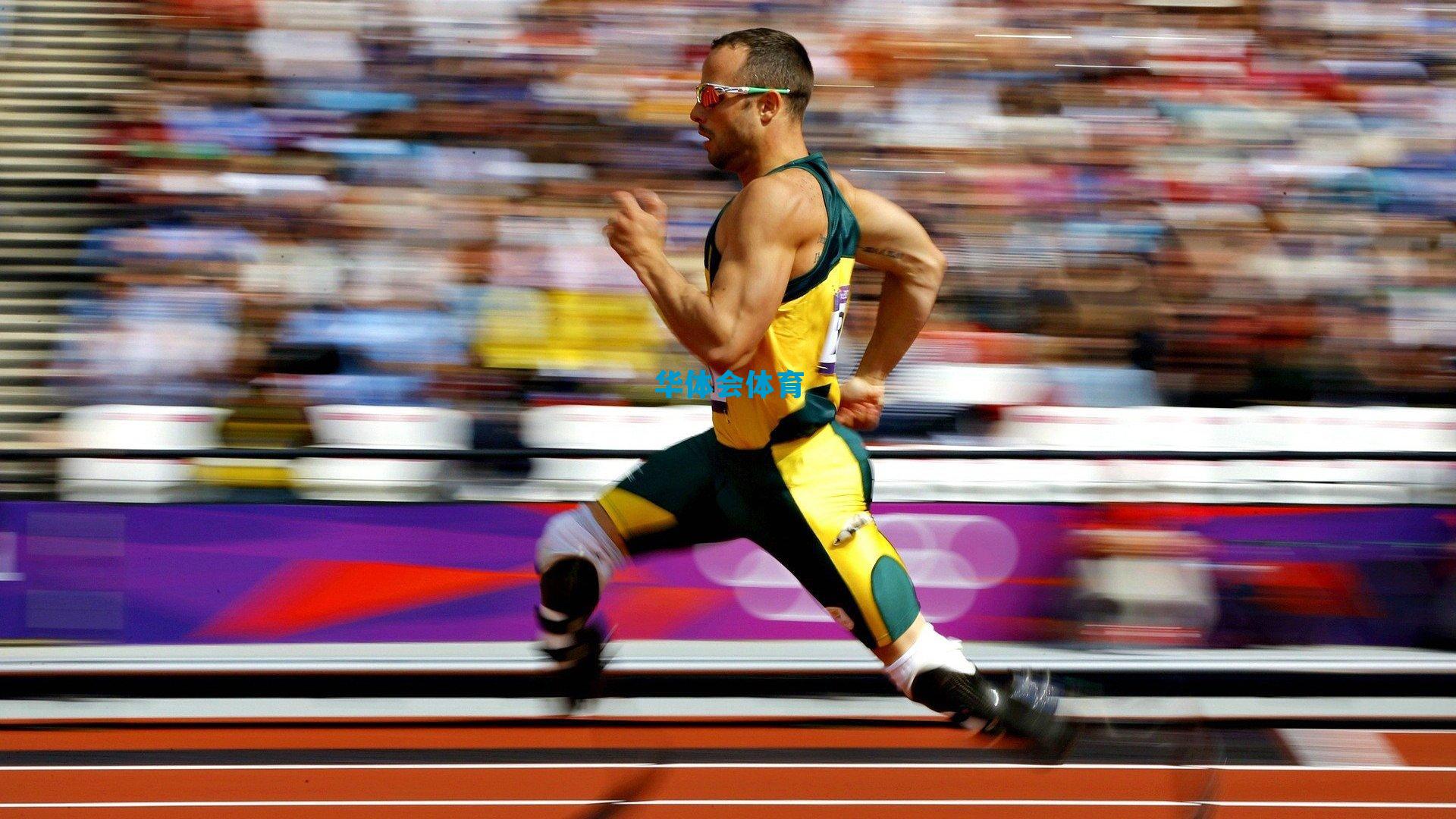 CBA：巴斯、韦伯斯特完成救赎 辽宁广厦各自取胜